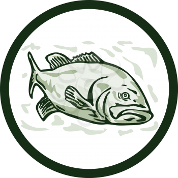Illustration of a largemouth bass fish facing front side set inside circle done in cartoon style on isolated background.