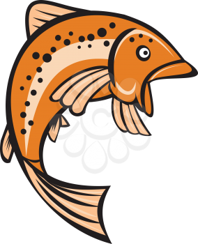 Illustration of a trout rainbow fish jumping up viewed from the side set on isolated white background done in cartoon style.