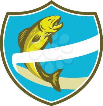 Illustration of a trout fish jumping over ribbon set inside shield crest on isolated background done in retro style. 