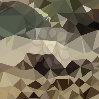 Low polygon style illustration of a drab brown blue abstract geometric background.