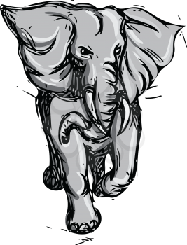 Drawing sketch style illustration of an african elephant rampaging viewed from front on isolated white background.