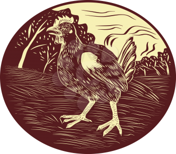 Illustration of a hen in a farm with trees in the background set inside oval shape done in retro woodcut style. 
