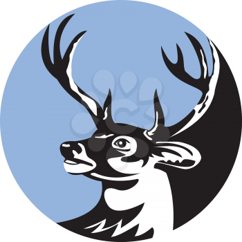 Illustration of a whitetail deer buck stag head looking to the side set inside circle done in retro style. 