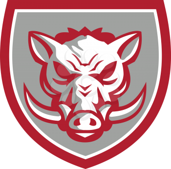Illustration of an angry wild pig boar razorback head viewed from the front set inside shield crest done in retro style. 