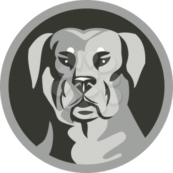 Black and white illustration of a Rottweiler Metzgerhund mastiff-dog guard dog head viewed from the front set inside circle done in retro style. 
