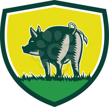 Illustration of a pig standing showing pigtail viewed from rear set inside shield crest done in retro woodcut style. 