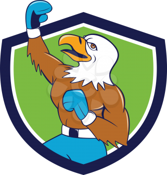 Illustration of a bald eagle boxer pumping fist in the air looking up viewed from the side set inside shield crest done in cartoon  style. 