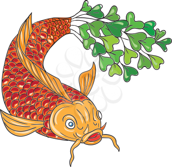 Drawing sketch style illustration of a trout fish with microgreen tail viewed from front set on isolated white backgroud done. 