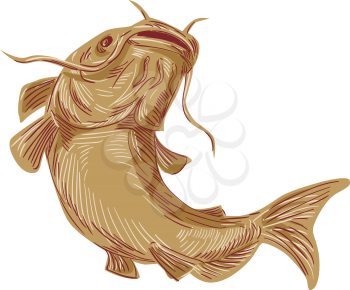 Drawing sketch styleillustration of a ray-finned fish catfish also known as mud cat, polliwogs or chucklehead going up viewed from front set on isolated white background. 