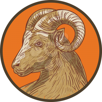 Drawing sketch style illustration of a ram goat head viewed from the side set inside circle.