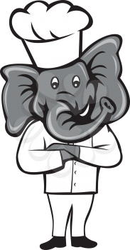 Illustration of a chef elephant wearing chef's hat standing with arms crossed viewed from front set inside on isolated white background done in cartoon style.