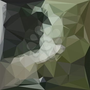 Low polygon style illustration of a dark slate gray abstract geometric background.