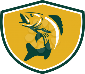 Illustration of a Walleye (Sander vitreus, formerly Stizostedion vitreum), a freshwater perciform fish jumping up  viewed from the side set inside shield crest on isolated background done in retro sty
