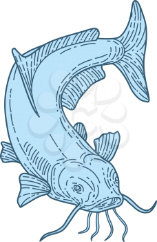 Mono line style illustration of a ray-finned fish catfish also known as mud cat, polliwogs or chucklehead diving down set on isolated white background. 