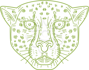 Mono line style illustration of a cheetah head facing front set on isolated white background. 