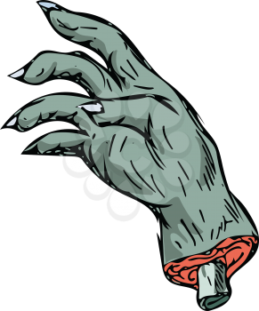 Drawing sketch style illustration of a zombie monster hand with bone sticking out set on isolated white background. 