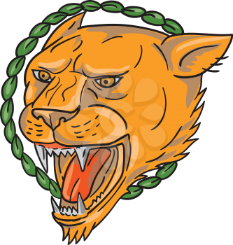 Tattoo style illustration of a lioness growling with ring of leaves in the background set on isolated white background. 