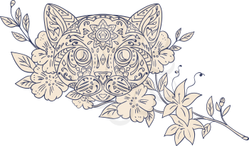 Mandala style illustration of a cat head with jasmine flowers viewed from front set on isolated white background. 