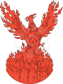 Drawing sketch style illustration of a phoenix rising up from fiery flames, wings raised for flight set on isolated white background. 