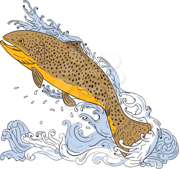 Drawing sketch style illustration of a brown trout fish swimming up on a turbulent water viewed from the side set on isolated white background. 