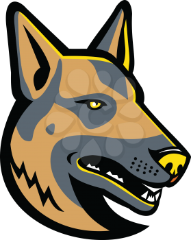 Mascot icon illustration of head of a German Shepherd, GSD, Alsatian wolf dog Berger, Allemand ,Deutscher, a breed of medium to large-sized working dog on isolated background in retro style.