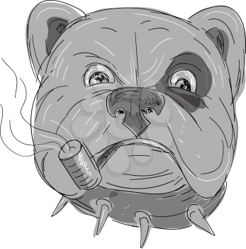 Illustration of an Angry Bulldog with studded collar and spot Smoking Corn Cob Pipe done in hand Drawing and sketch style on isolated background.