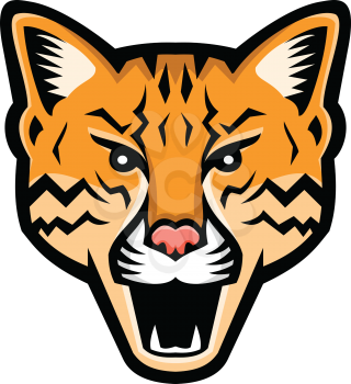 Sports mascot icon illustration of head of an ocelot or Leopardus pardalis, a wild cat native to the Americas viewed from front on isolated background in retro style.