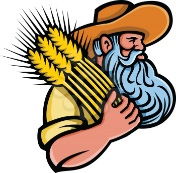 Mascot icon illustration of head of a organic grain farmer with beard holding a bunch of dried wheat looking to side on isolated background in retro style.