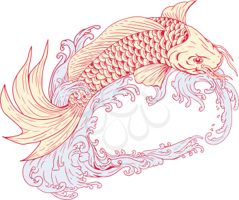 Drawing sketch style illustration of a Koi or nishikigoi, fish of colored varieties of Amur carp, jumping over waves on isolated background.