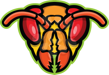 Mascot icon illustration of head of a hornet, an insect in the genera Provespa, the largest of the eusocial wasp viewed from front on isolated background in retro style.