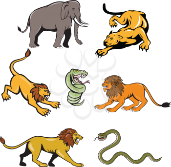 Set or collection of cartoon character mascot style illustration of African wildlife animals like the lion, elephant, snake, lioness on isolated white background.