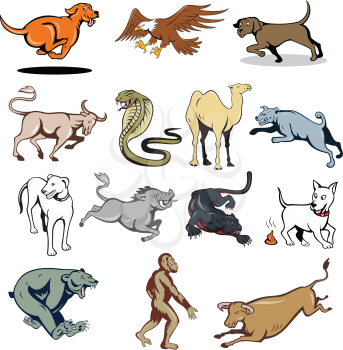 Set or collection of cartoon character mascot style illustration of farm animal and wildlife like dog, cow, bear, ape, eagle, camel, snake, wild boar and panther on isolated white background.