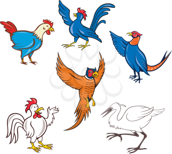 Set or collection of cartoon character mascot style illustration of fowl or bird such as chicken, cockerel, rooster, pheasant, crane or heron on isolated white background.