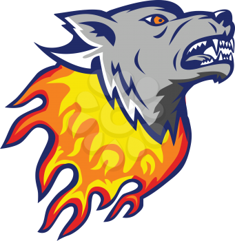 Illustration of an angry flaming Wolf head on fire viewed from side on isolated background done in retro style.