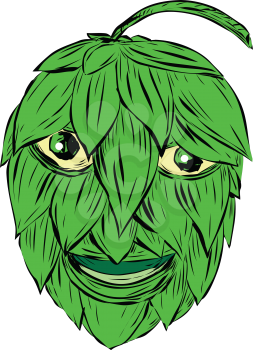 Drawing sketch style illustration of a Hops Man or green man smiling viewed from front on isolated background.