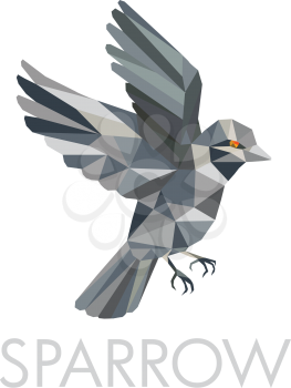 Low polygon style illustration of a Sparrow a  small passerine bird flying with text below Sparrow on isolated background.