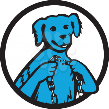 Mascot icon illustration of a blue merle dog holding a chain with one link chain broken set inside circle on isolated background in retro style.