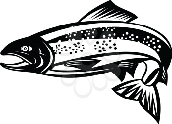 Retro woodcut style illustration of a Brown trout or speckled trout Fish Jumping on isolated background done in black and white.
