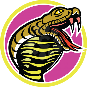 Mascot icon illustration of king cobra, Ophiophagus hannah, or hamadryad, a venomous snake in family Elapidae, endemic to Southeast Asia set inside circle on isolated background in retro style.