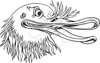 Cartoon and graffitti style illustration of an angry and aggressive kiwi head, a flightless bird native to New Zealand, looking to side on isolated background in black and white. 