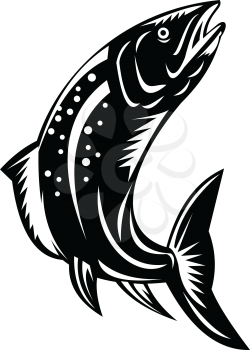 Retro woodcut style illustration of a Spotted Trout Fish Jumping on isolated background done in black and white.