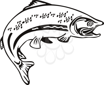 Retro style illustration of a Spotted Trout Fish Jumping on isolated background done in black and white.