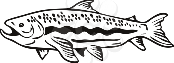 Retro woodcut style illustration of a Spotted Trout Fish viewed from right side on isolated background done in black and white.