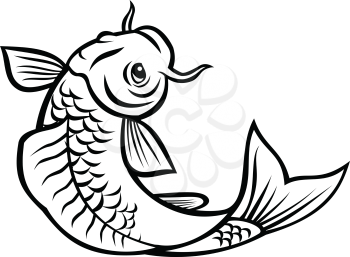 Cartoon style illustration of a jinli, Koi or nishikigoi fish, colored varieties of the Amur carp Cyprinus rubrofuscus, jumping up on isolated background done in black and white.