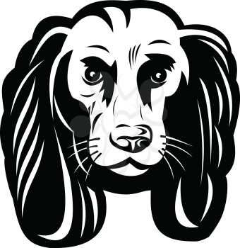 Mascot illustration of head of a sad Cocker Spaniel, a dog breed of the spaniel dog type, the American Cocker Spaniel and the English Cocker Spaniel, viewed from front in retro black and white style. 