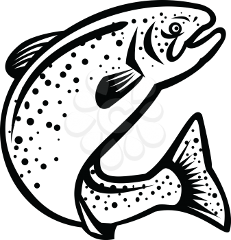 Illustration of a rainbow trout fish jumping up on isolated white background  done in retro black and white style