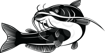 Retro woodcut style illustration of a blue catfish Ictalurus furcatus, largest species of North American catfish, swimming up on isolated background done in black and white.