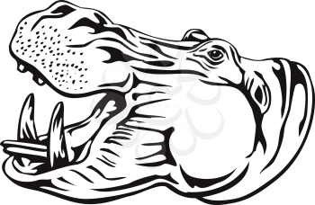 Retro woodcut style illustration of head of a hippopotamus, hippo, common hippopotamus or river hippopotamus, a large herbivorous, semiaquatic mammal ungulate isolated background in black and white.