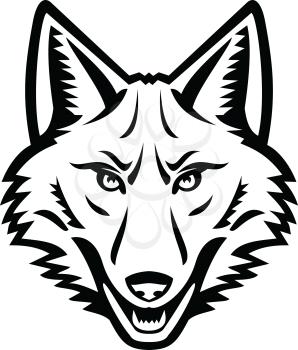 Black and white mascot illustration of head of a coyote or Canis latrans, a canine native to North America viewed from the front on isolated background in retro style.