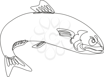 Continuous line drawing illustration of an angry Atlantic herring sardine fish jumping done in mono line or doodle style in black and white on isolated background. 